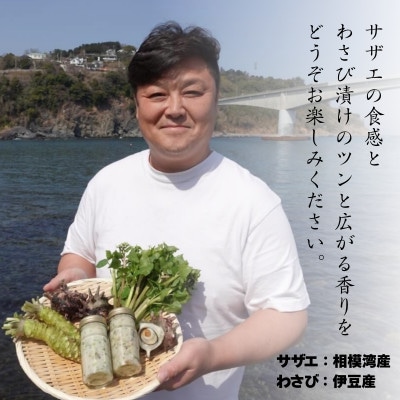 サザエのわさび漬け　【素潜り漁師の手作り】