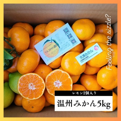 温州みかん5kgレモン入り★ 甘味と酸味のバランスが良く、濃厚な香りが特徴です【先行受付】
