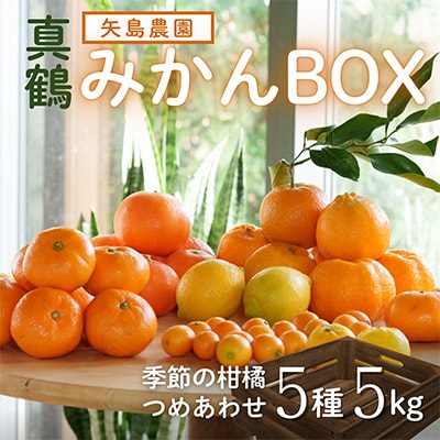 みかん色々♪季節の柑橘詰合せ5kgいろんな種類が一箱に詰まった楽しいみかんBox【先行受付】
