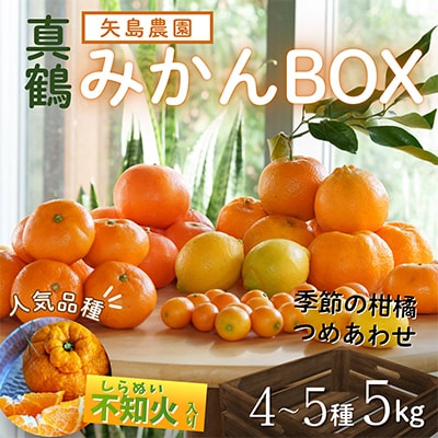 人気の不知火入り!みかん色々4-5種5kg季節の柑橘が楽しめる詰め合わせBox【先行受付】