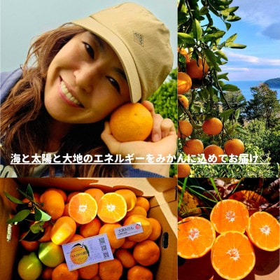 温州みかん10kgレモン入り★ 甘味と酸味のバランスが良く、濃厚な香りが特徴です【先行受付】