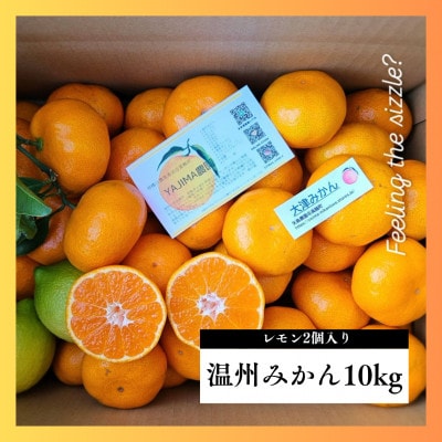 温州みかん10kgレモン入り★ 甘味と酸味のバランスが良く、濃厚な香りが特徴です【先行受付】