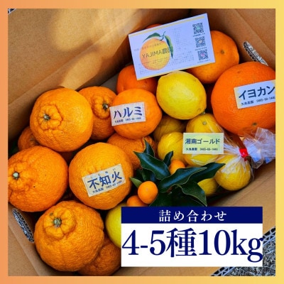 人気の不知火入り!みかん色々4-5種10kg季節の柑橘が楽しめる詰め合わせBox【先行受付】