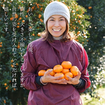 人気の不知火入り!みかん色々4-5種10kg季節の柑橘が楽しめる詰め合わせBox【先行受付】