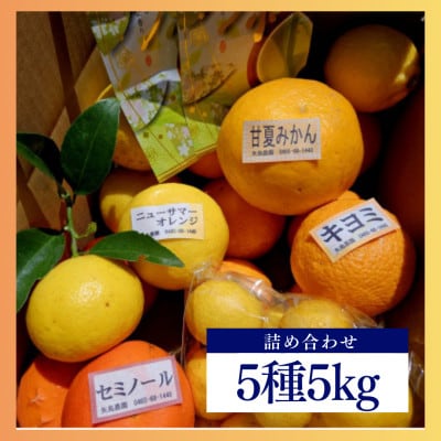 新茶とみかん季節の柑橘詰め合わせ5種5kg一箱でいろんな味が楽しめる農家直送みかんBox【先行受付】