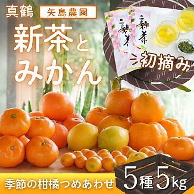 新茶とみかん季節の柑橘詰め合わせ5種5kg一箱でいろんな味が楽しめる農家直送みかんBox【先行受付】