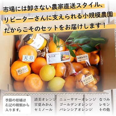 新茶とみかん季節の柑橘詰め合わせ5種5kg一箱でいろんな味が楽しめる農家直送みかんBox【先行受付】
