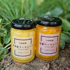 柑橘農家の自家製マーマレード3種セット　手作りで自然な甘さをお届けします【先行受付】