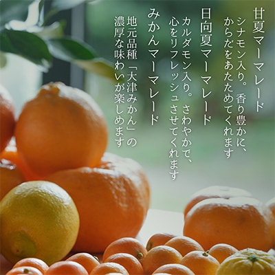 柑橘農家の自家製マーマレード3種セット 矢島農園の手作りジャム【先行予約】