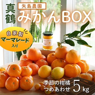 マーマレード入り季節の柑橘詰め合わせ5kgいろんな種類が一箱に詰まった楽しいみかんBox【先行受付】