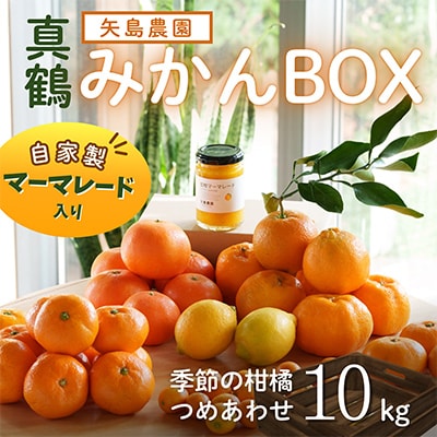 マーマレード入り季節の柑橘詰め合せ10kgいろんな種類が一箱に詰まった楽しいみかんBox【先行受付】