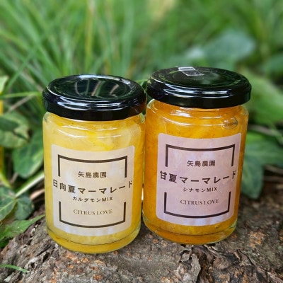 マーマレード入り季節の柑橘詰め合せ10kgいろんな種類が一箱に詰まった楽しいみかんBox【先行受付】