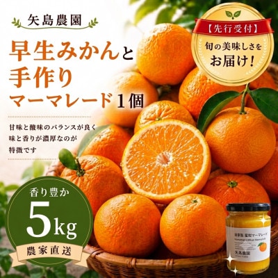 早生みかん5kg★蜜柑マーマレード入り★甘味と酸味のバランスが良く果肉もジューシー!