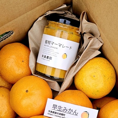蜜柑マーマレード&グリーンレモン入り★早生みかん5kg★甘味と酸味のバランス良くジューシー!