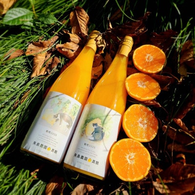 初搾り★手剥きRich蜜柑ジュース 720ml×2本～真鶴町から未来へつなぐ、三代目の挑戦～