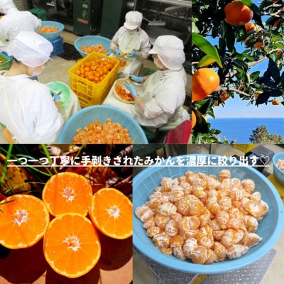 初搾り★手剥きRich蜜柑ジュース 720ml×2本～真鶴町から未来へつなぐ、三代目の挑戦～