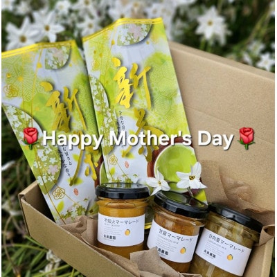 【母の日ギフト】相模湾を望む畑より柑橘農家のマーマレード3種セット&初摘み新茶2袋をお届け!