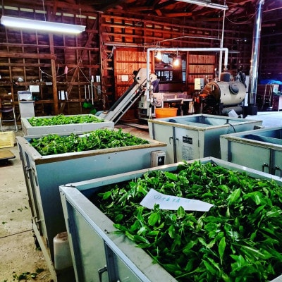 【母の日ギフト】相模湾を望む畑より柑橘農家のマーマレード3種セット&初摘み新茶2袋をお届け!