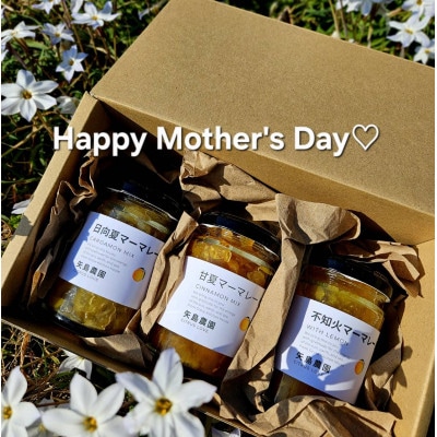 【母の日ギフト】相模湾を望む柑橘農家の手作り　香り好評マーマレード3種セット