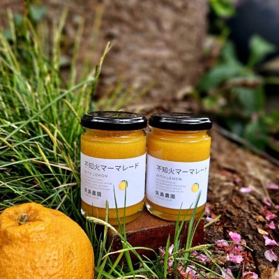 【母の日ギフト】相模湾を望む柑橘農家の手作り　香り好評マーマレード3種セット