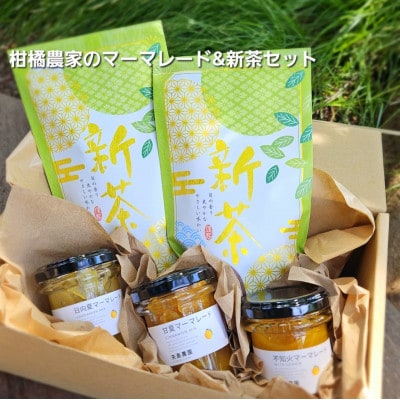 相模湾を望む畑より柑橘農家の身体に優しいマーマレード3種セット&初摘み新茶2袋をお届け!