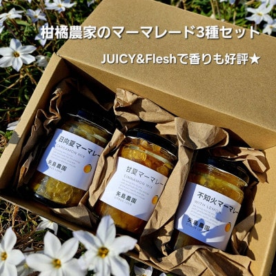 ジューシー&フレッシュで香り好評!相模湾を望む畑より柑橘農家の身体に優しいマーマレード3種セット!