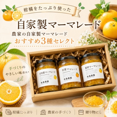 【矢島みかん農園】みかん農園手作りマーマレード3種[140ml×各1]3種セット|神奈川県真鶴町直送