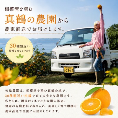 【矢島みかん農園】手剥きみかん丸ごと100%ジュース720ml×3本　みかん農園直送～自然なままの味