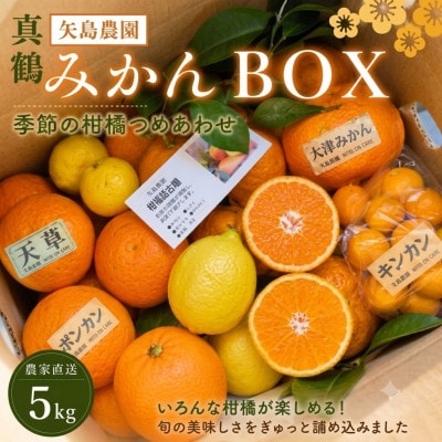 お正月特別便♪季節の柑橘詰合せ5kgいろんな種類が詰まった1箱【12月下旬発送】【先行受付】