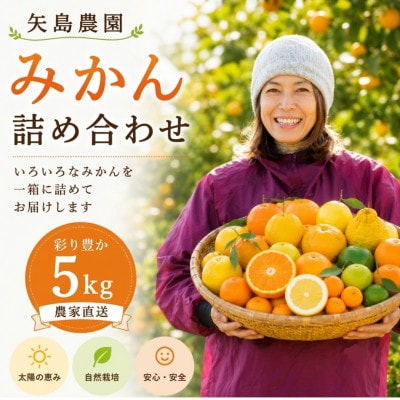 お正月特別便♪季節の柑橘詰合せ5kgいろんな種類が詰まった1箱【12月下旬発送】【先行受付】