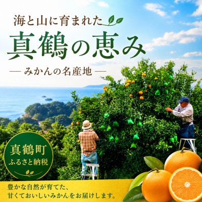 温州みかん10kgと農家自家製マーマレード★甘味と酸味の良バランスと濃厚な香りが特徴です【先行受付】
