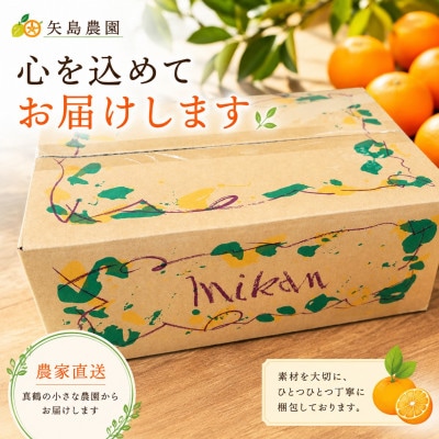 温州みかん10kg花柚子2個入り★ 甘味と酸味のバランスが良く、濃厚な香りが特徴です【先行受付】