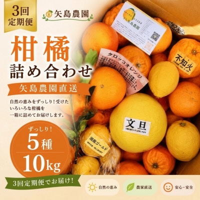 【発送月固定定期便】1～3月季節の柑橘詰め合わせ10kg(3回定期便)毎月違う楽しい柑橘BOX全3回