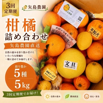【発送月固定定期便】1～3月の季節の柑橘詰め合わせ5kg(3回定期便)毎月違う楽しい柑橘BOX全3回