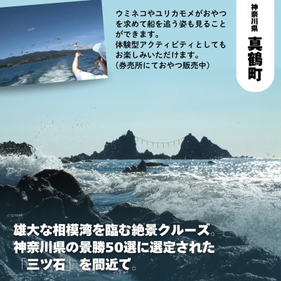 真鶴半島遊覧船ペアチケット
