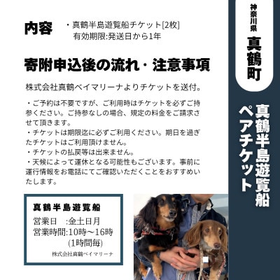真鶴半島遊覧船ペアチケット