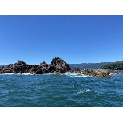 真鶴半島遊覧船ペアチケット