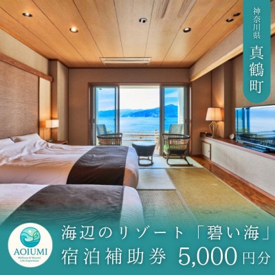 海辺のリゾート碧い海　宿泊補助券(5,000円分)