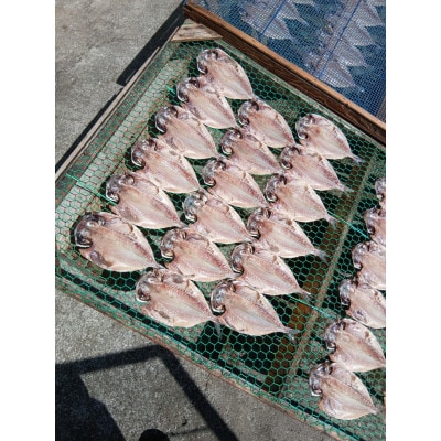 【さとふる限定】自家製無添加干物(鯵+おまかせ、計5～6枚)