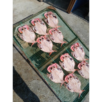 【さとふる限定】自家製無添加干物(鯵+おまかせ、計5～6枚)