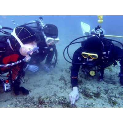 だいびんぐしょっぷ海家「半日体験ダイビング」