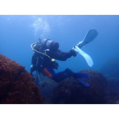 だいびんぐしょっぷ海家「半日体験ダイビング」