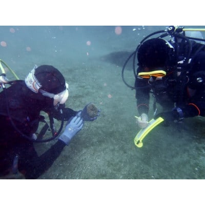 だいびんぐしょっぷ海家「半日体験ダイビング」