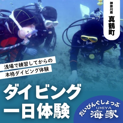 だいびんぐしょっぷ海家「1日体験ダイビング」