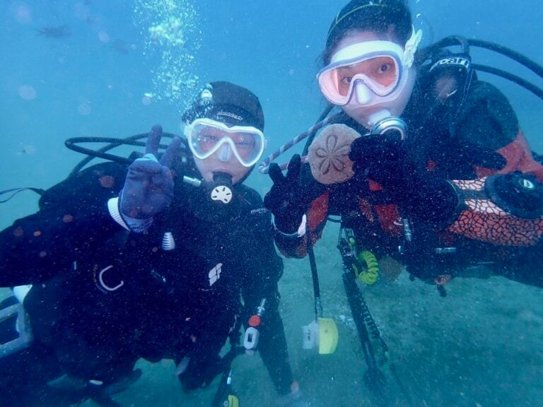 だいびんぐしょっぷ海家「1日体験ダイビング」