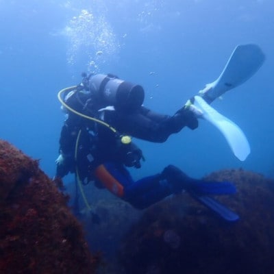だいびんぐしょっぷ海家「リフレッシュコース」　～ 神奈川県 真鶴町 ～