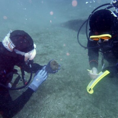 だいびんぐしょっぷ海家「リフレッシュコース」　～ 神奈川県 真鶴町 ～