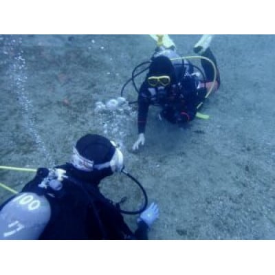 だいびんぐしょっぷ海家「Cカード取得コース」　～ 神奈川県 真鶴町 ～