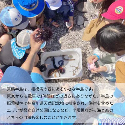 「海のミュージアム 磯の生物観察会・海の自然実感教室」参加費2000円分クーポン