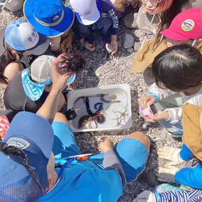 「海のミュージアム 磯の生物観察会・海の自然実感教室」参加費3000円分クーポン